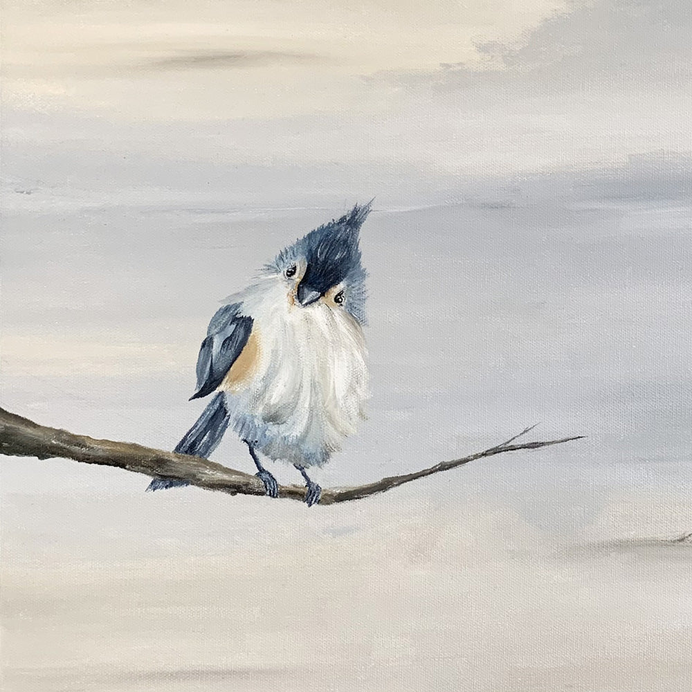 Tufted Titmouse (Study 2) - Fine Art Print