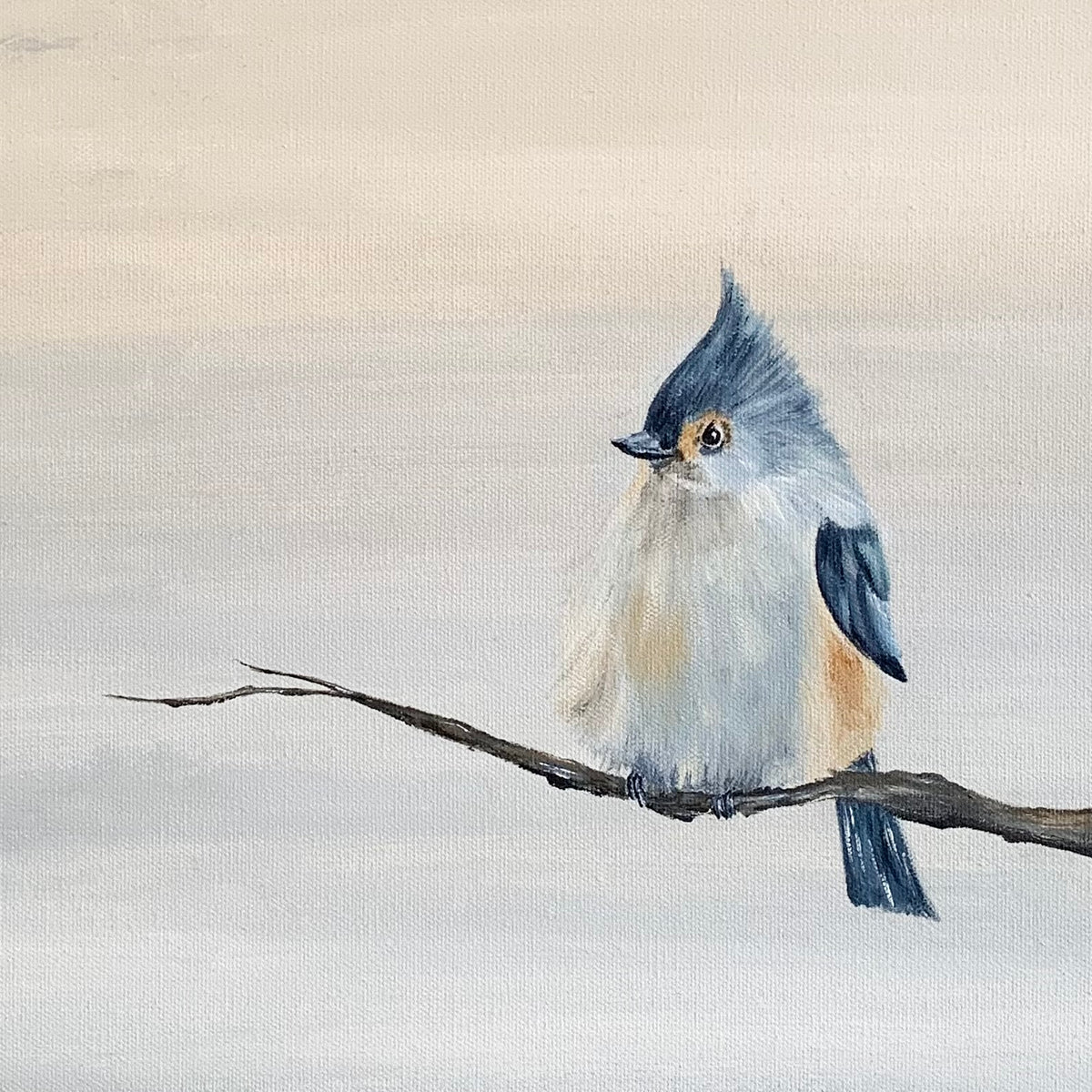 Tufted Titmouse (Study 1) - Fine Art Print